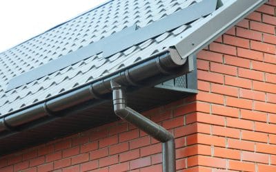 How Do Loft Ventilation And Soffits Protect Homes From Winter Damp?